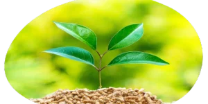 Meilleur adoucisseur d’eau 2026 : la solution EcoCrystal pour lutter contre le calcaire